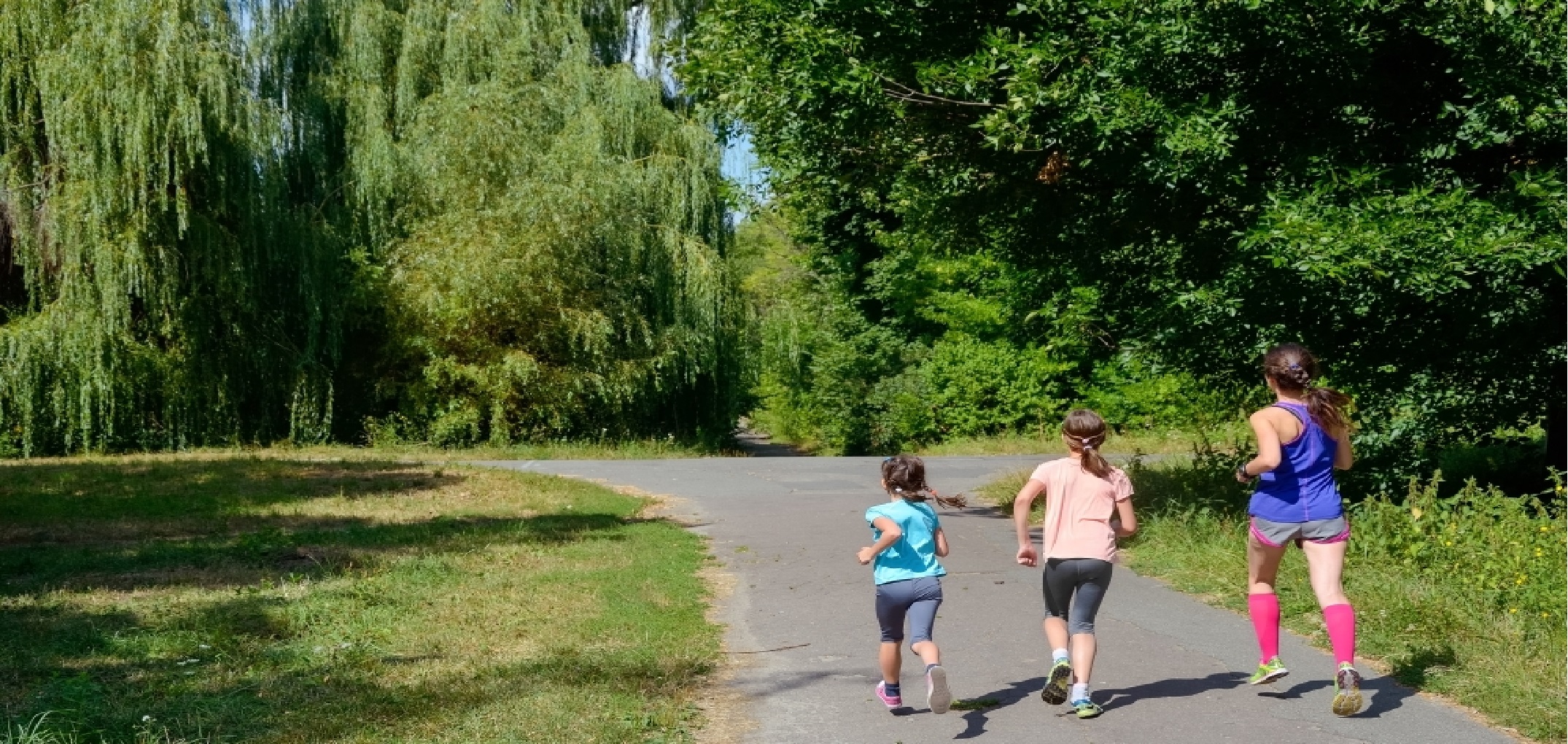 Join our online Spectrum courses